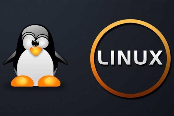 Linux 基础教程
